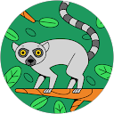 RAF N profile picture